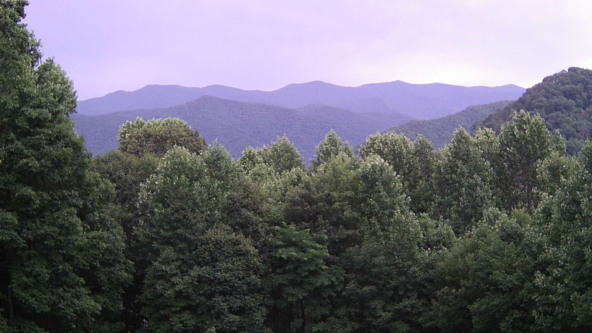 click for next image... slideshow image