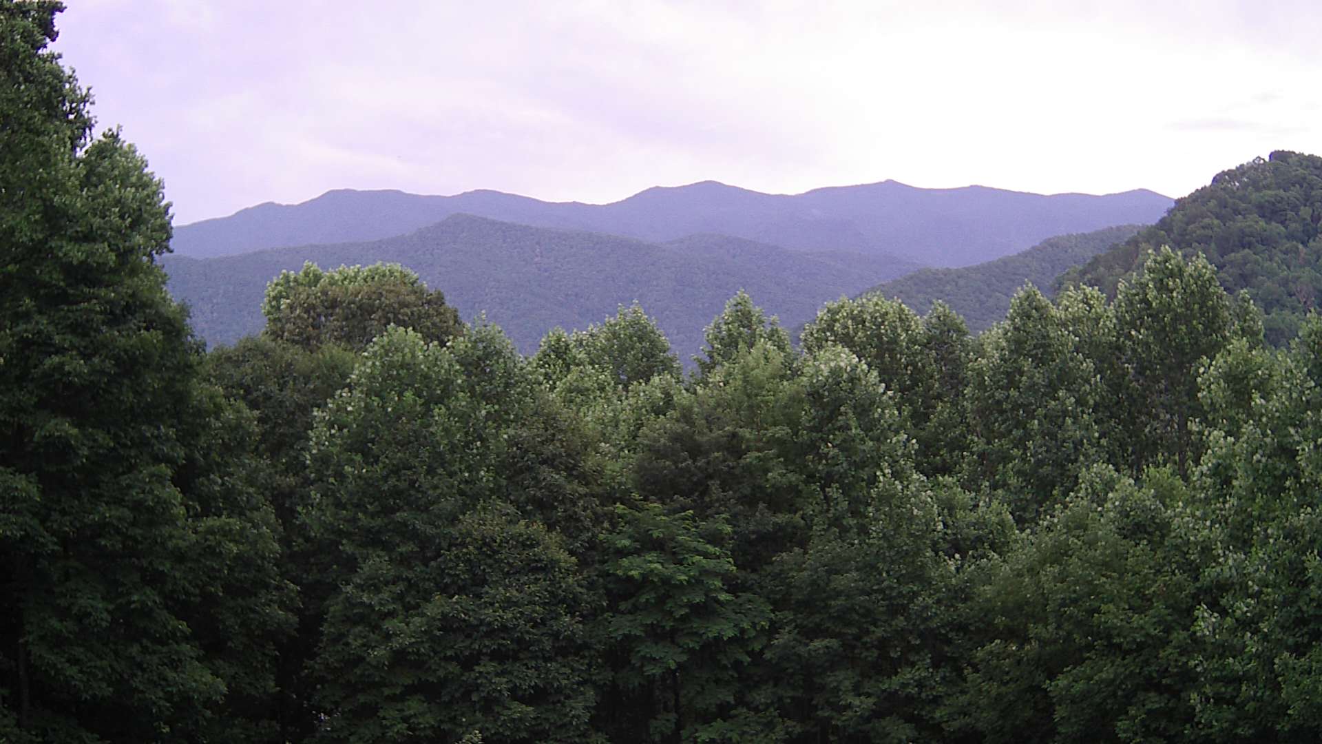 click for next image... slideshow image