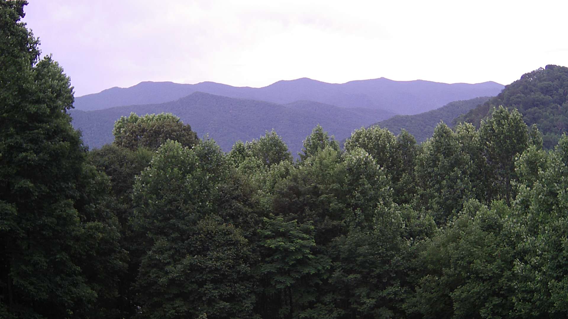 click for next image... slideshow image