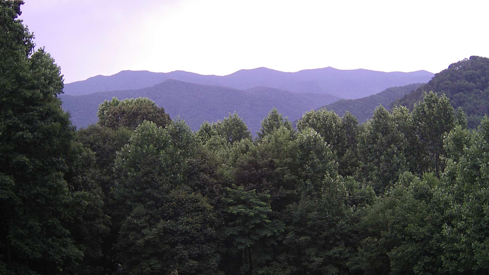 click for next image... slideshow image