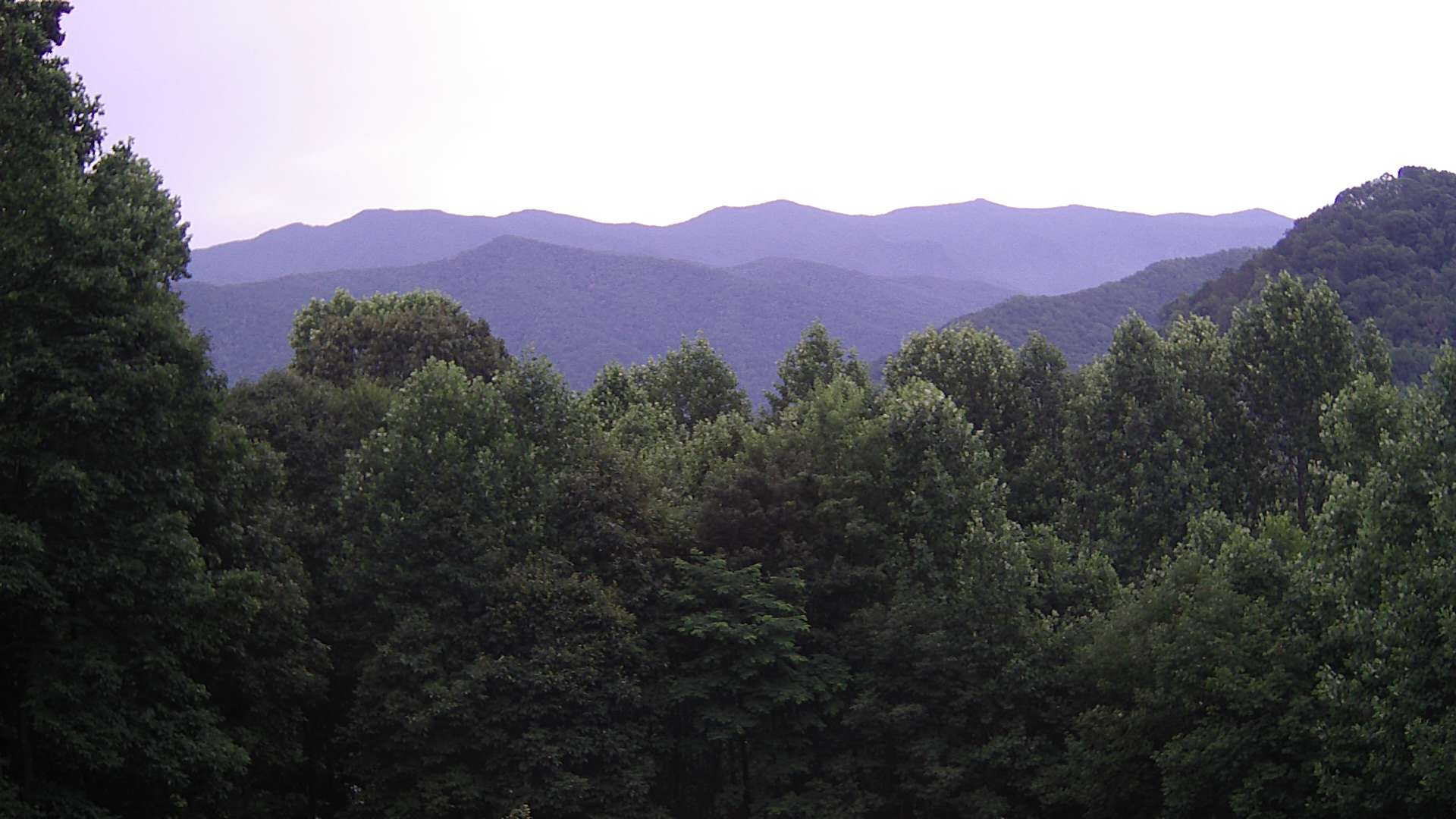 click for next image... slideshow image