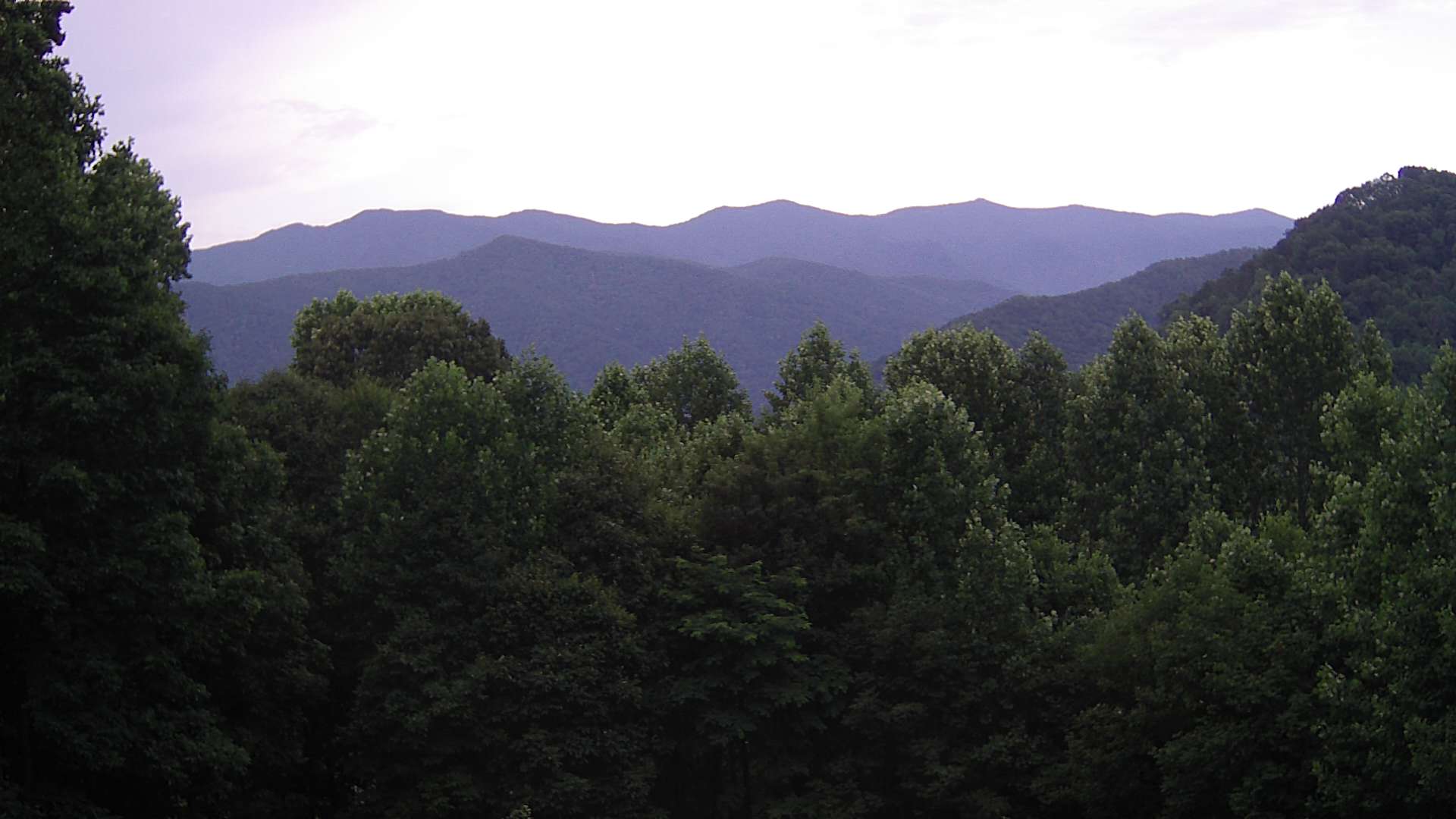 click for next image... slideshow image