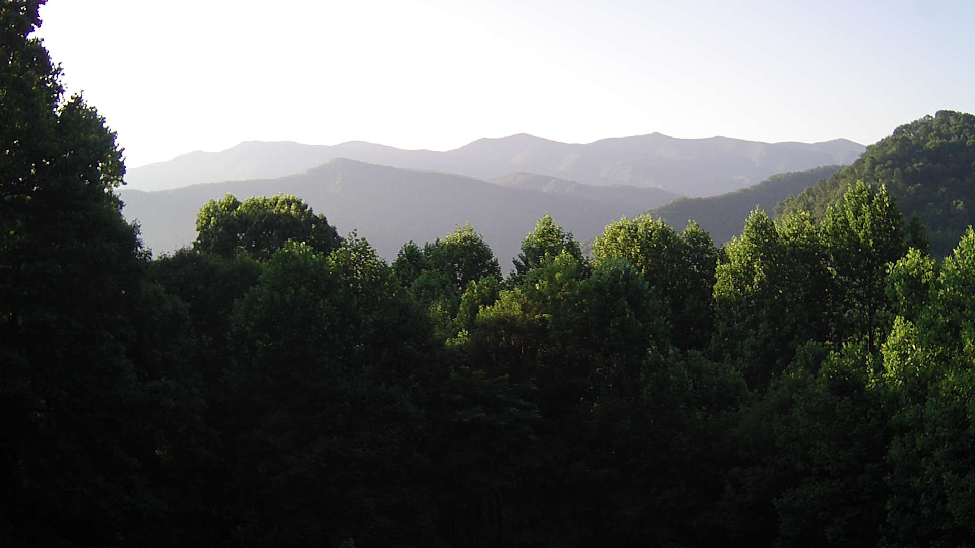 click for next image... slideshow image