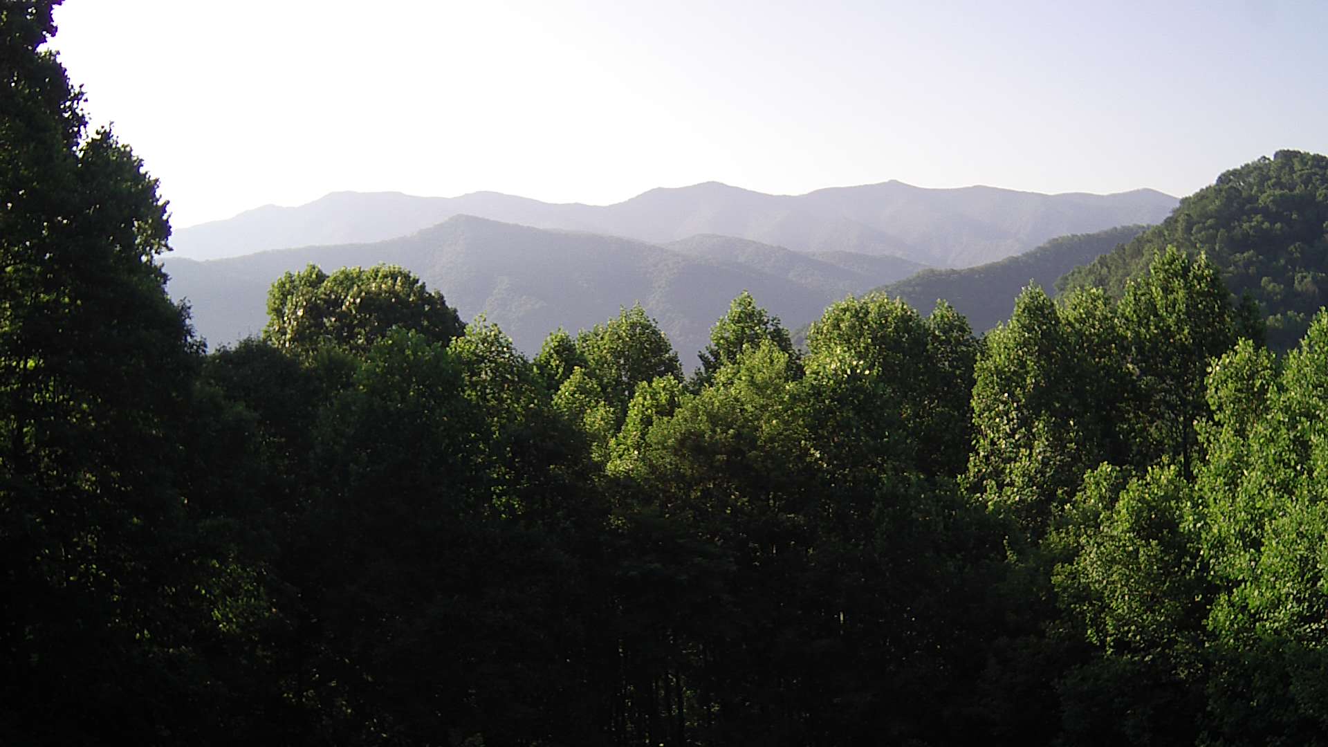 click for next image... slideshow image