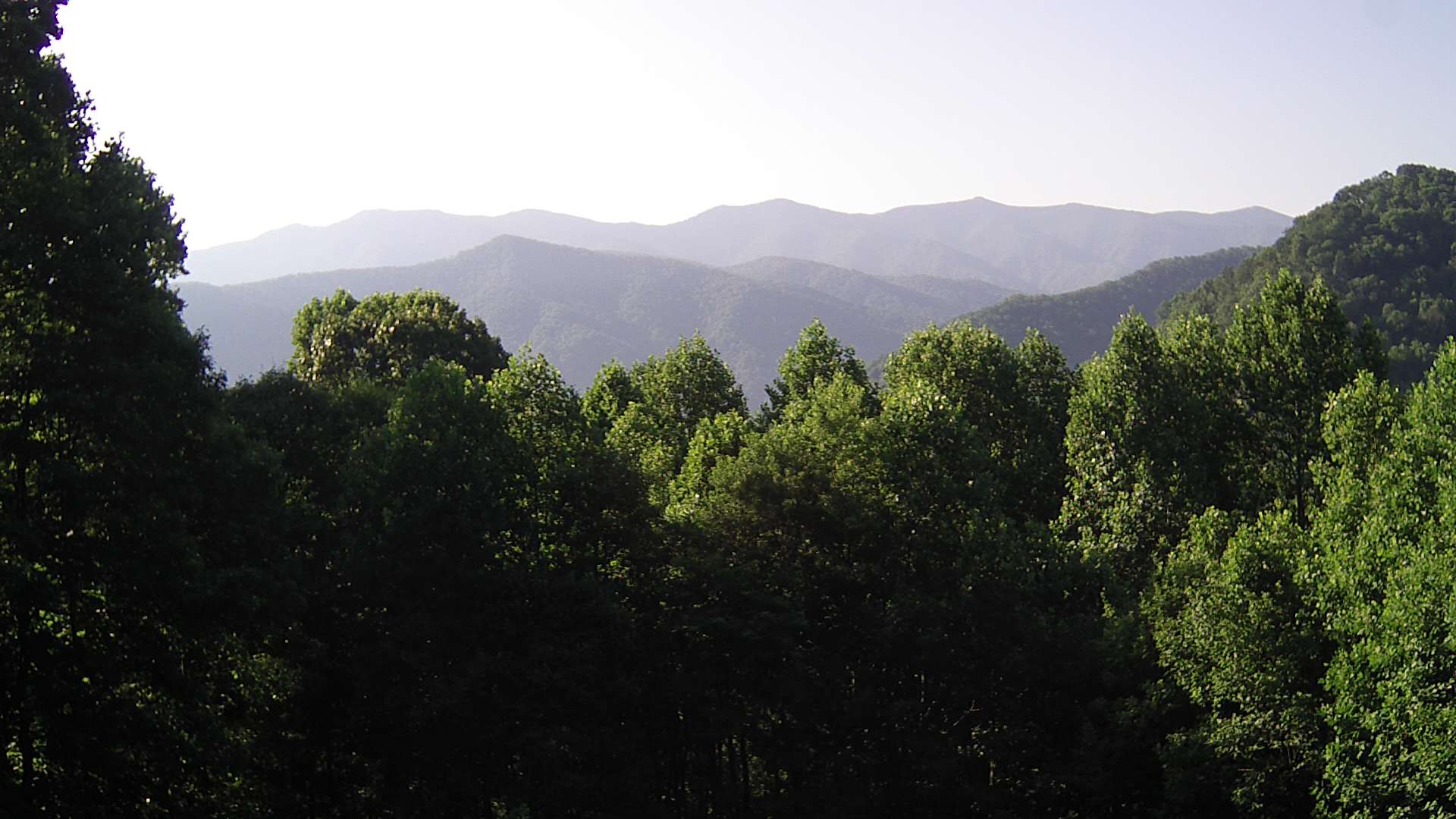 click for next image... slideshow image