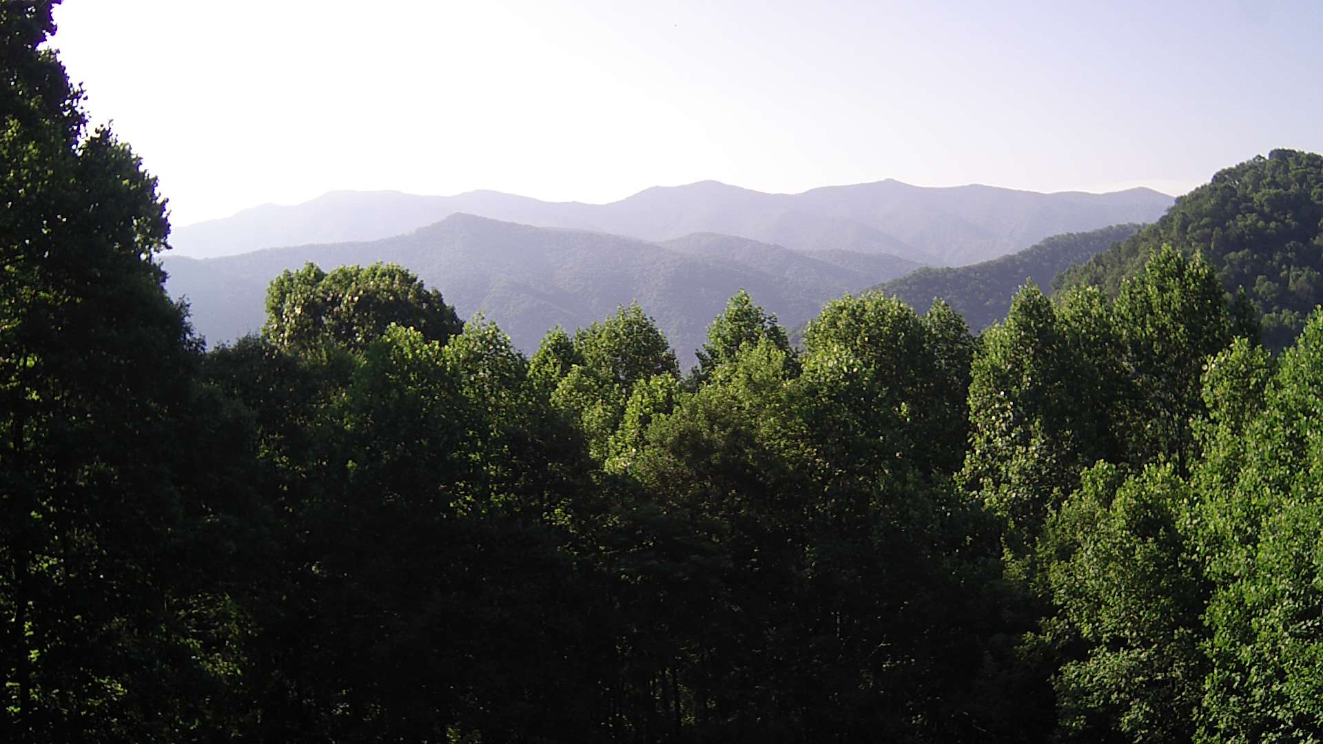 click for next image... slideshow image