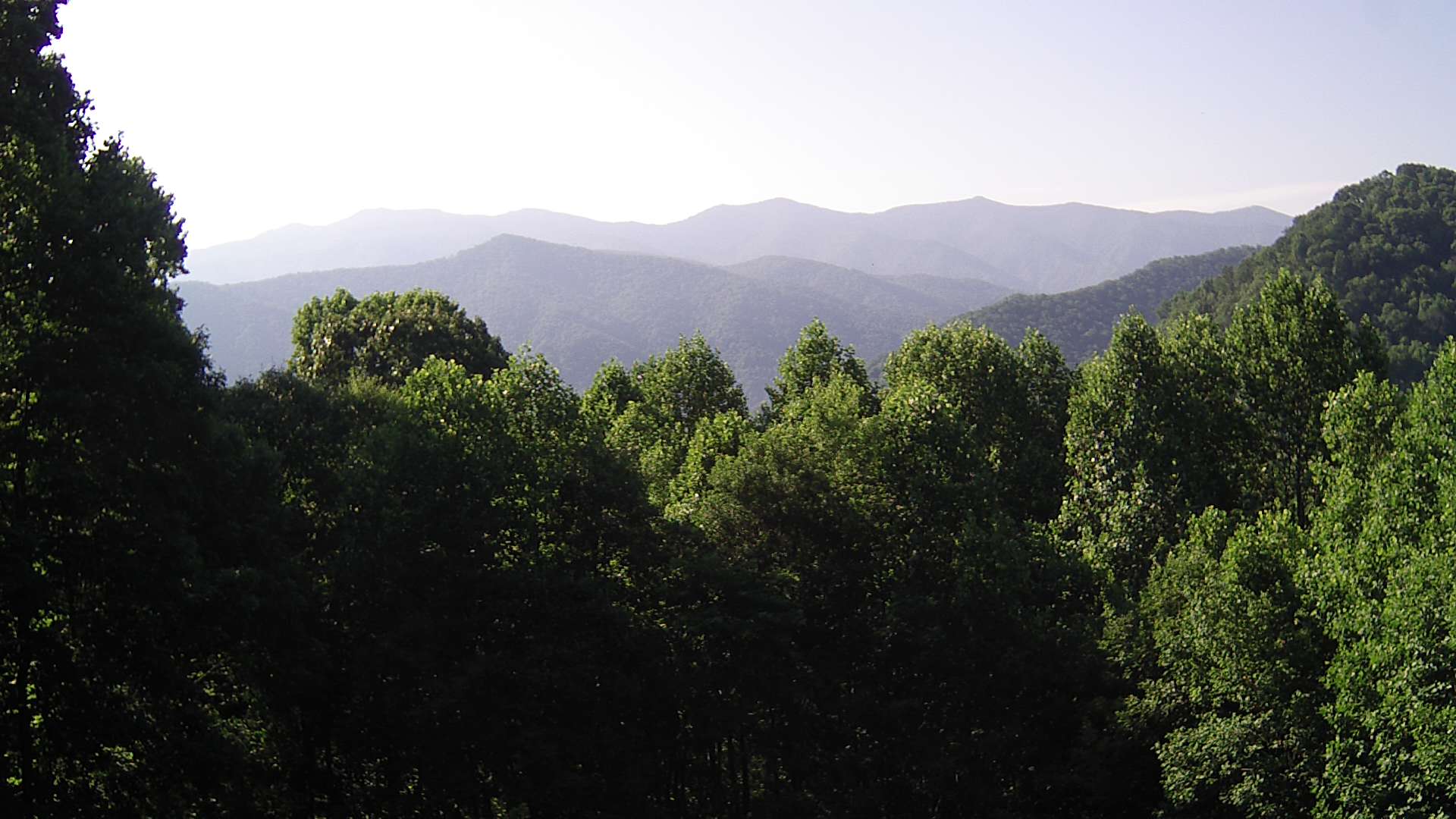 click for next image... slideshow image