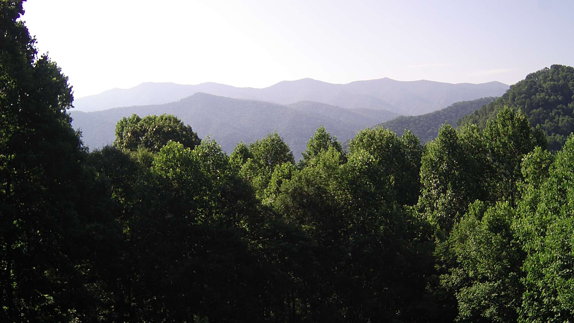 click for next image... slideshow image