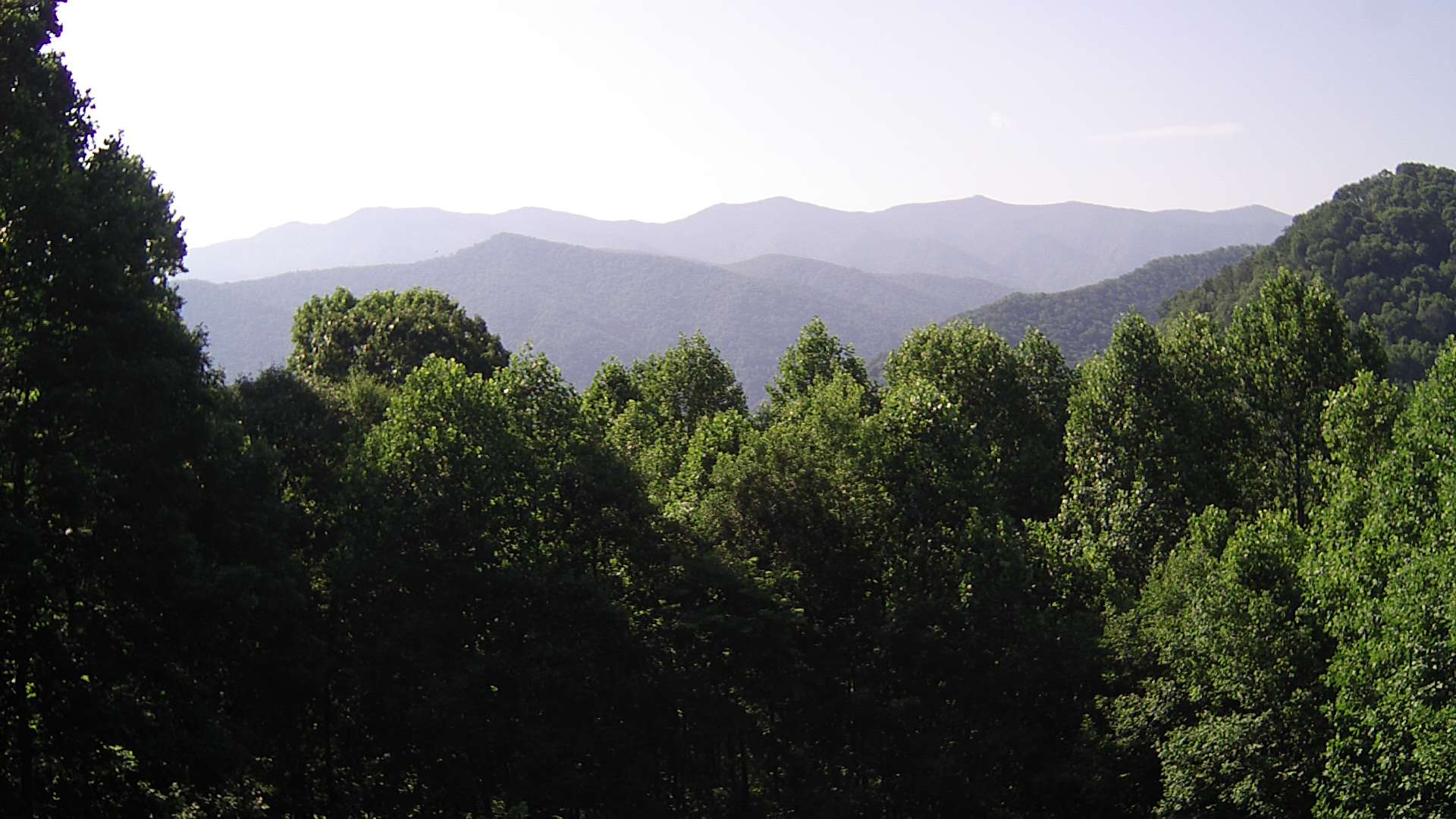 click for next image... slideshow image