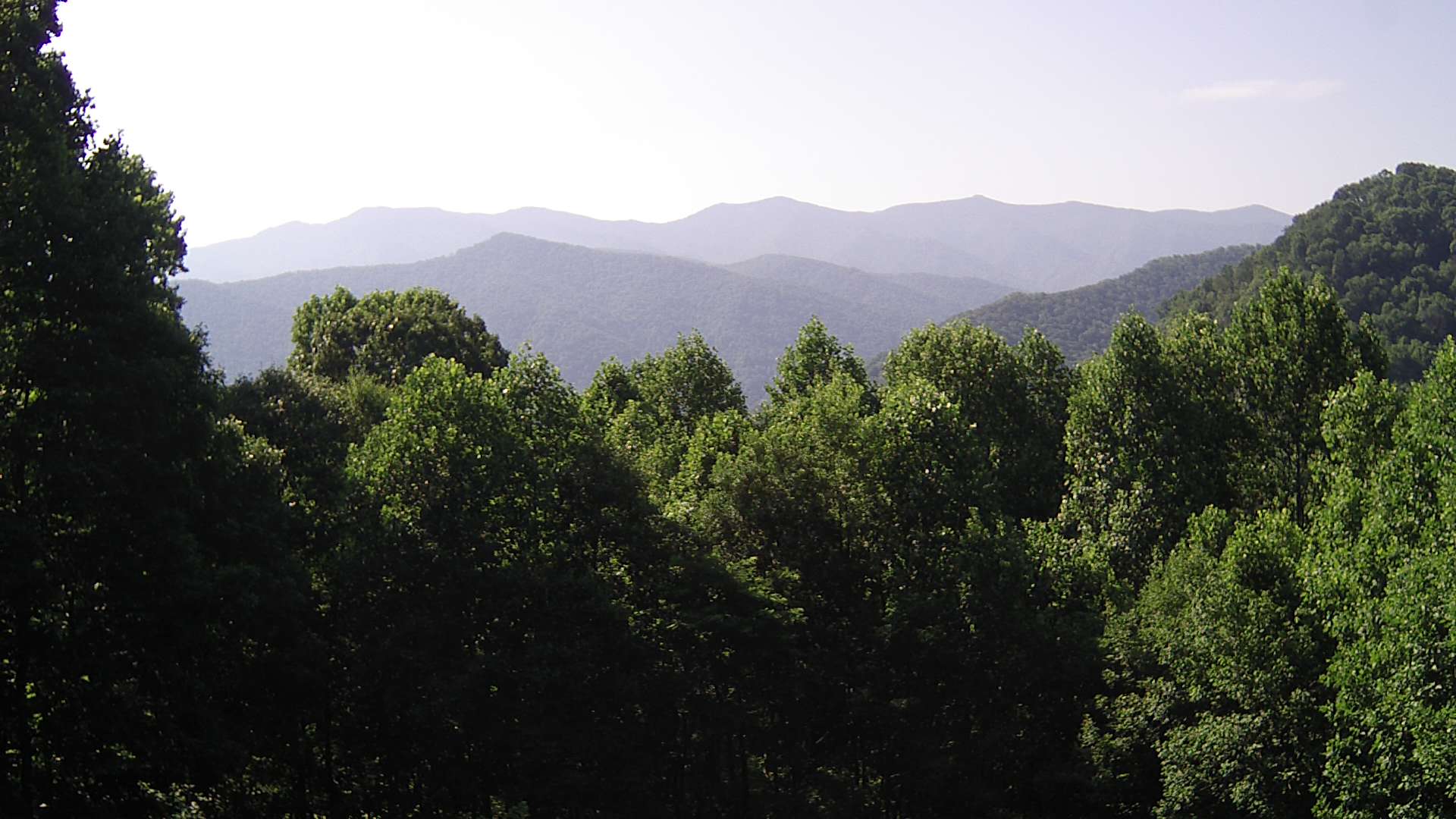 click for next image... slideshow image