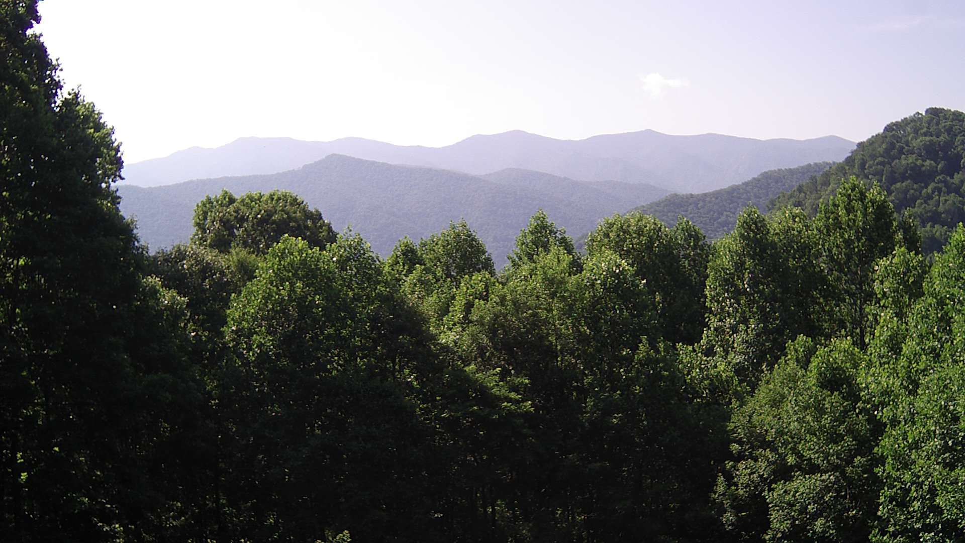 click for next image... slideshow image