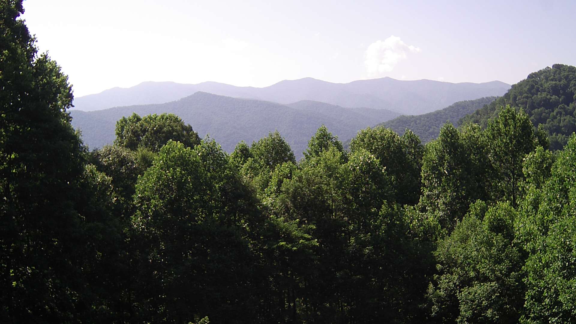 click for next image... slideshow image