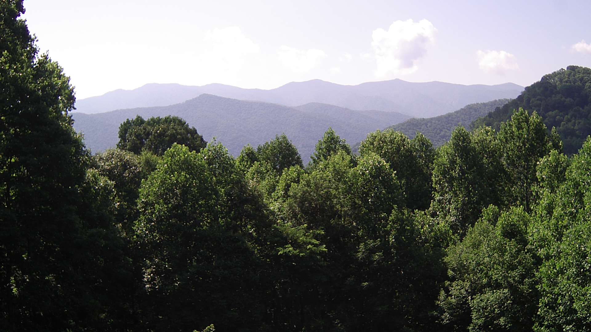 click for next image... slideshow image