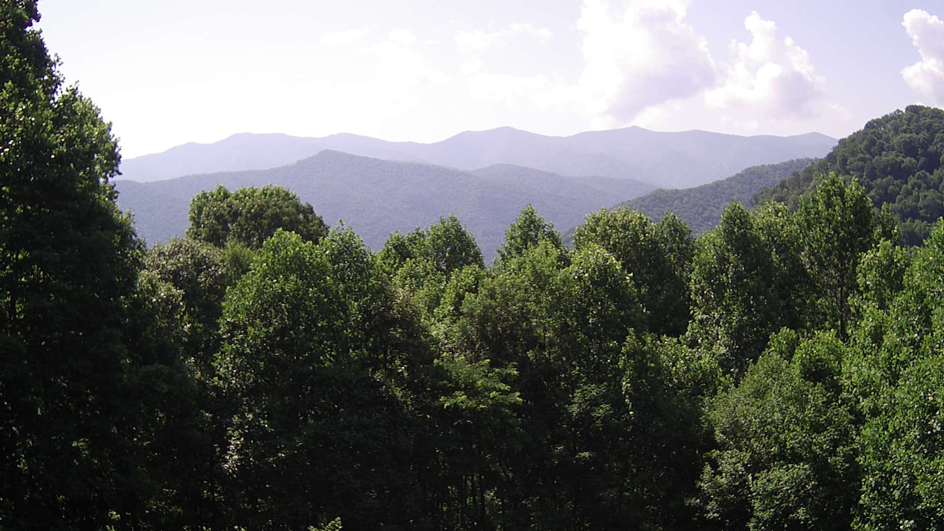 click for next image... slideshow image