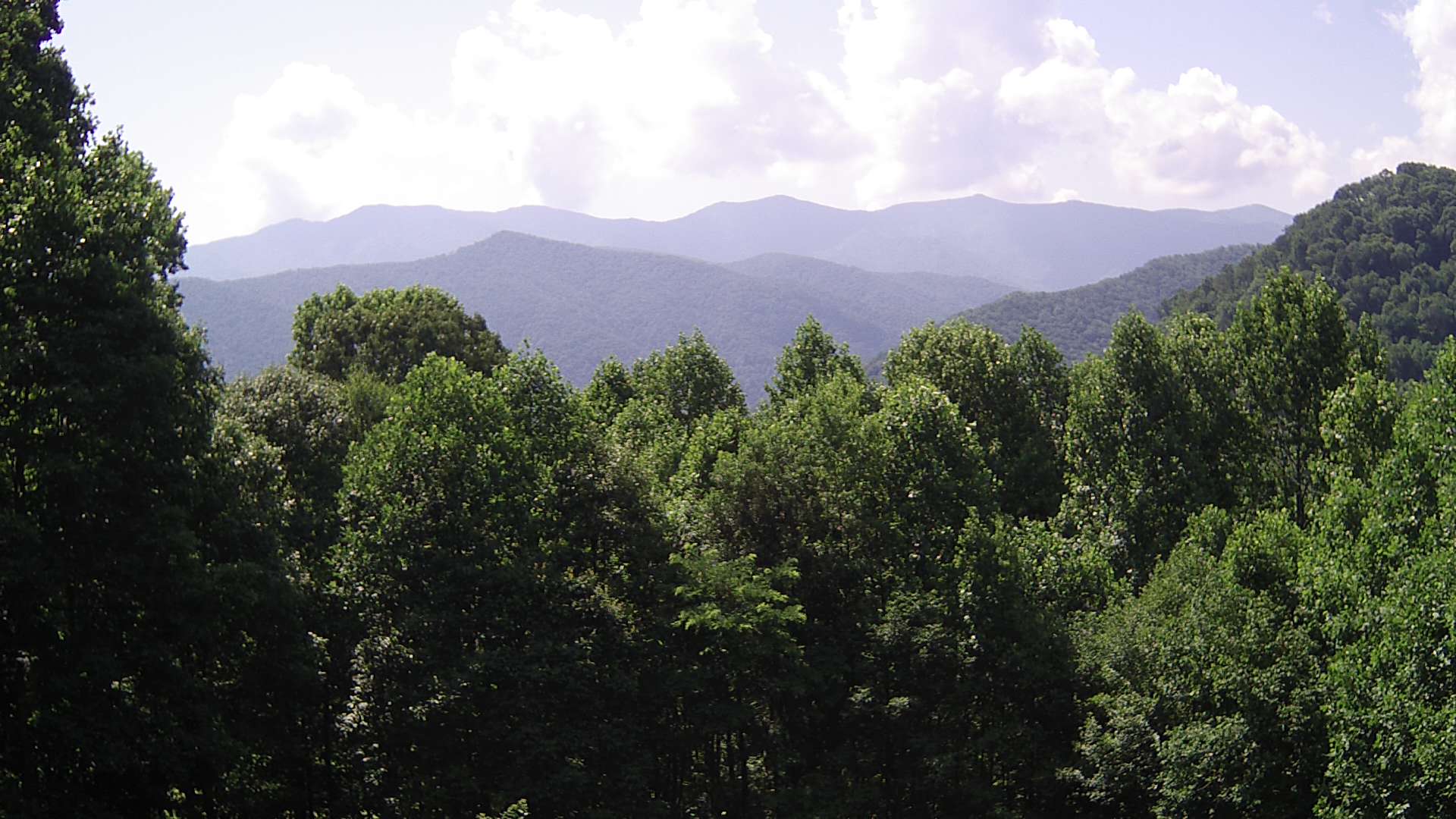 click for next image... slideshow image