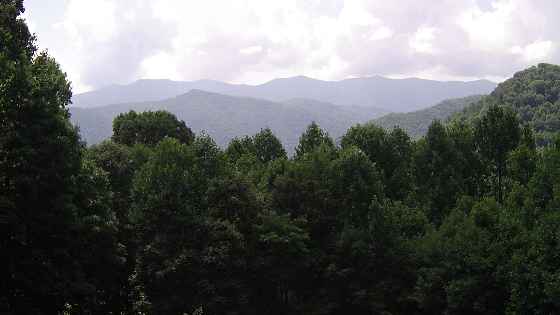 click for next image... slideshow image