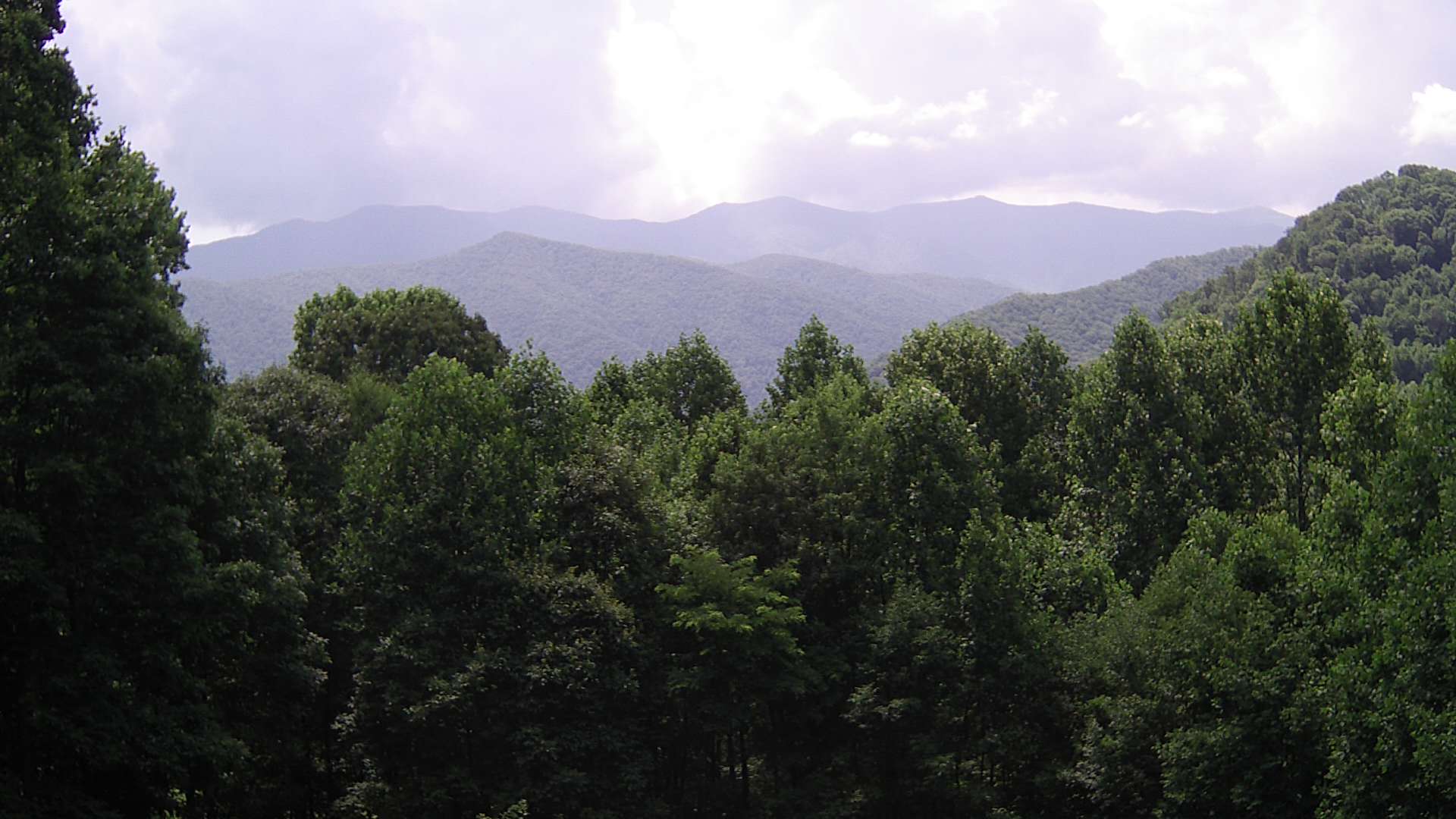 click for next image... slideshow image