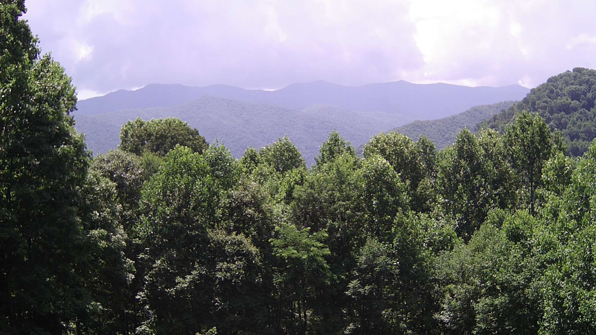 click for next image... slideshow image