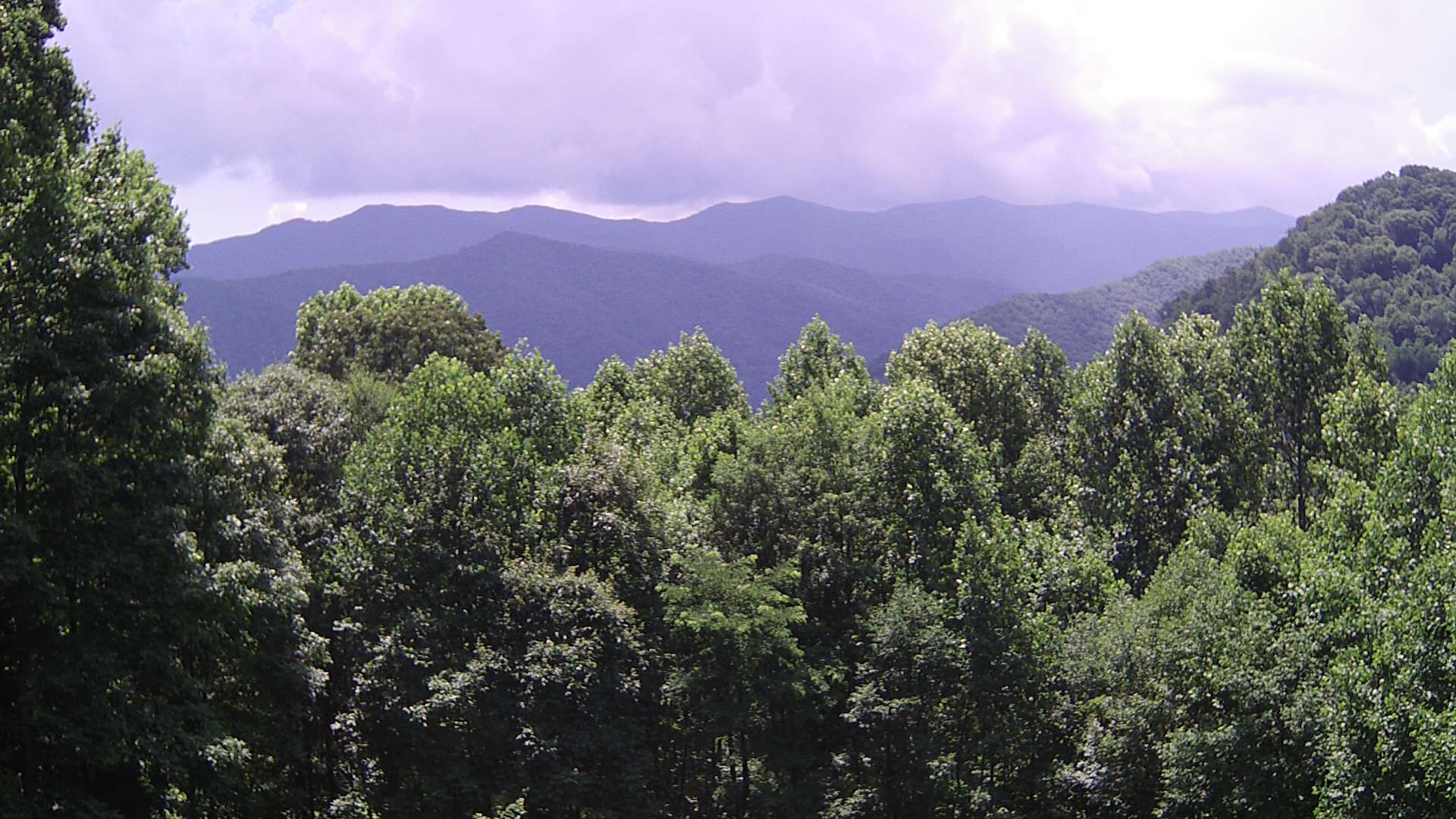 click for next image... slideshow image