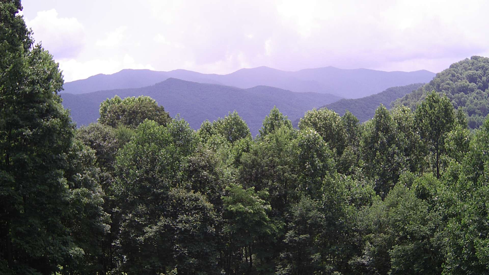 click for next image... slideshow image