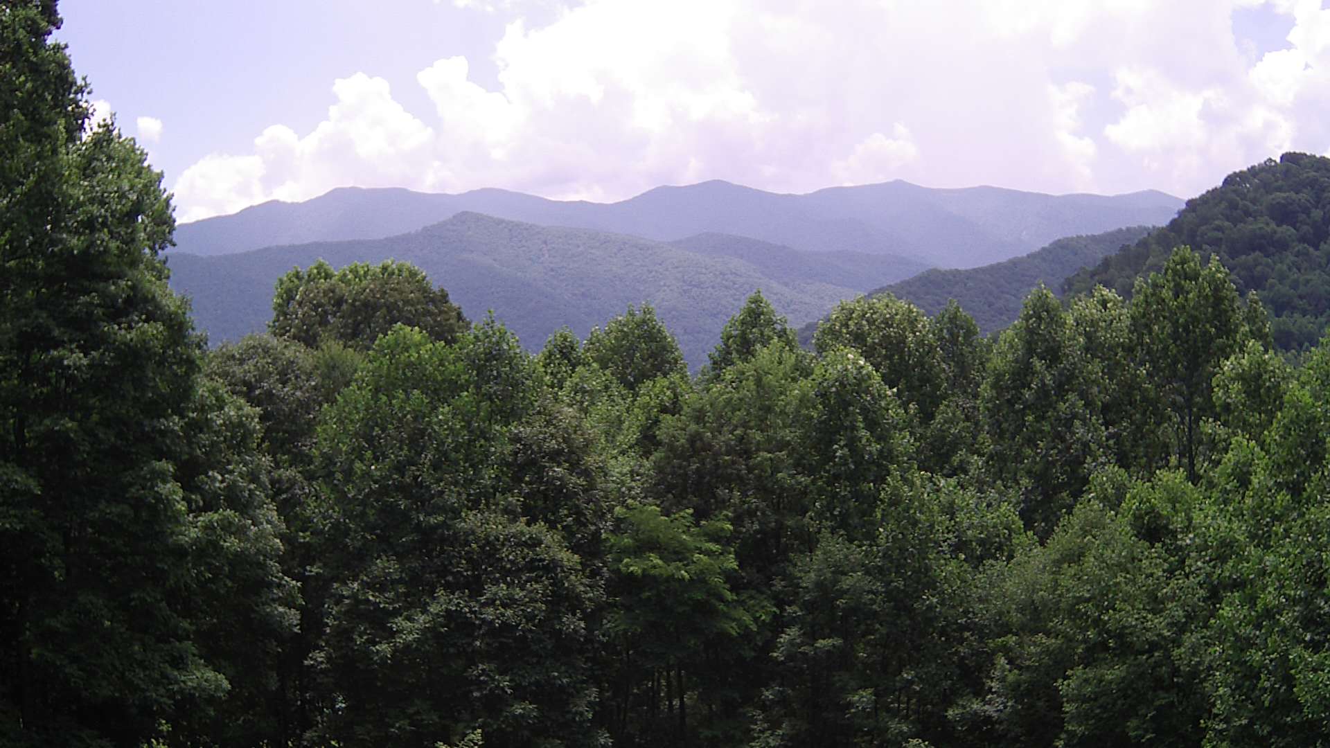 click for next image... slideshow image