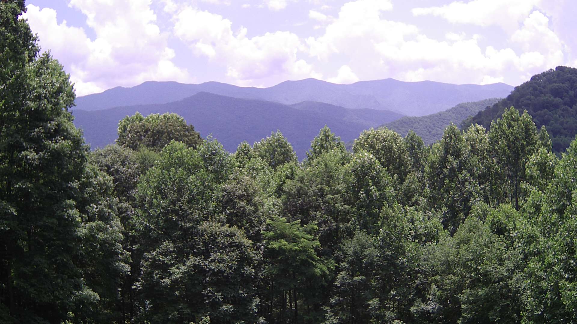 click for next image... slideshow image