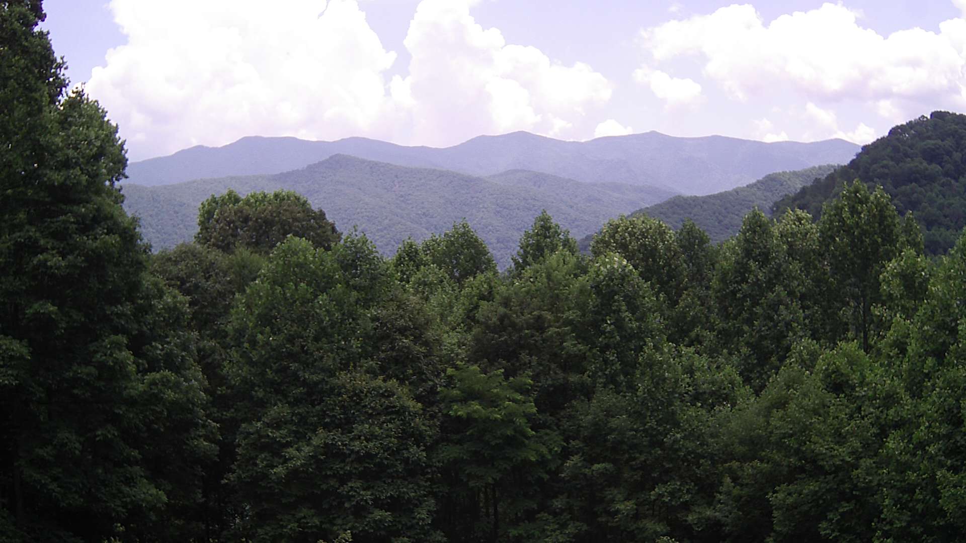 click for next image... slideshow image