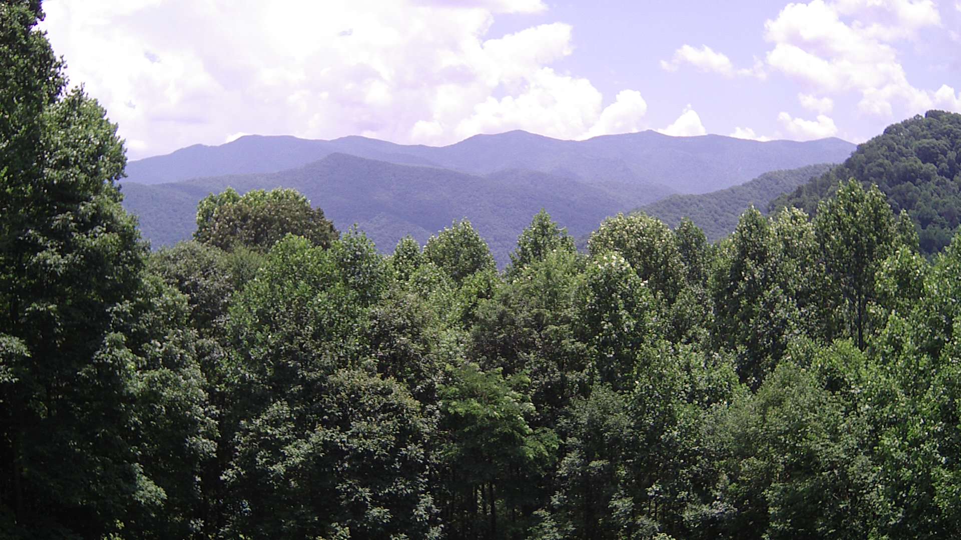 click for next image... slideshow image