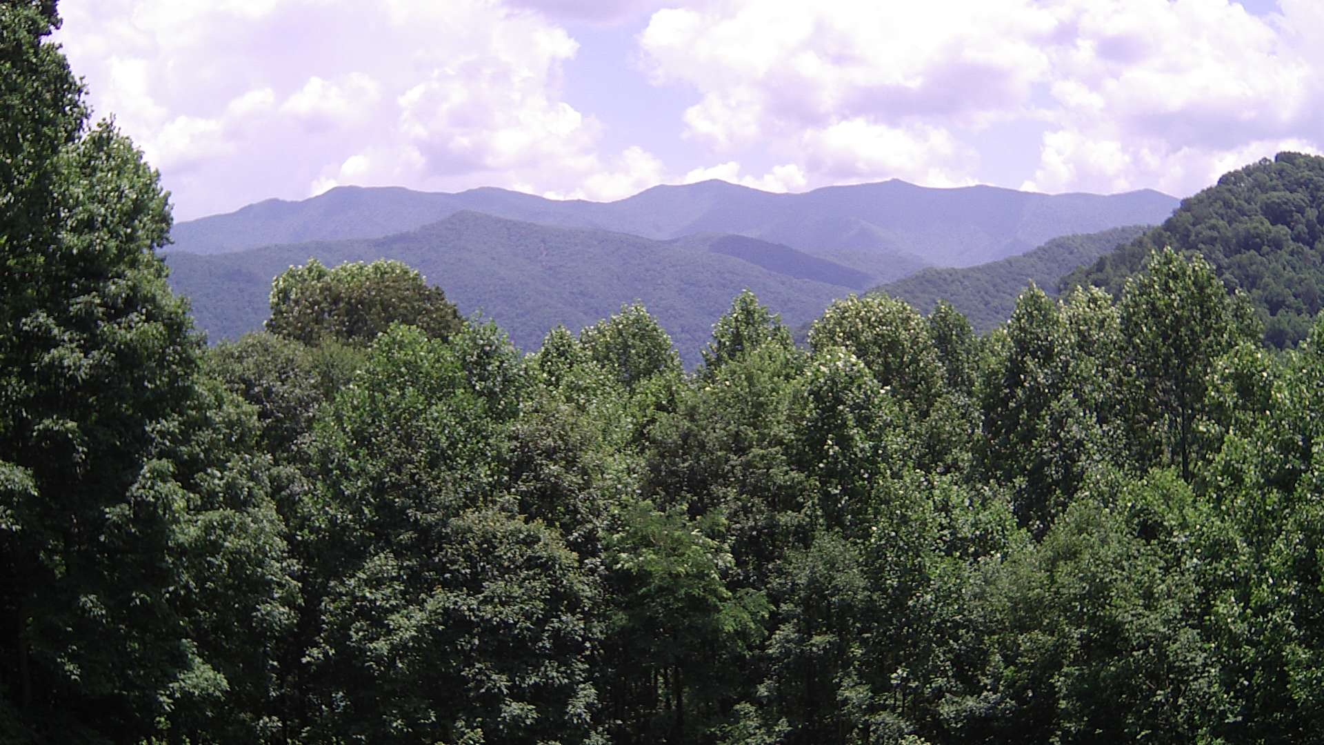 click for next image... slideshow image