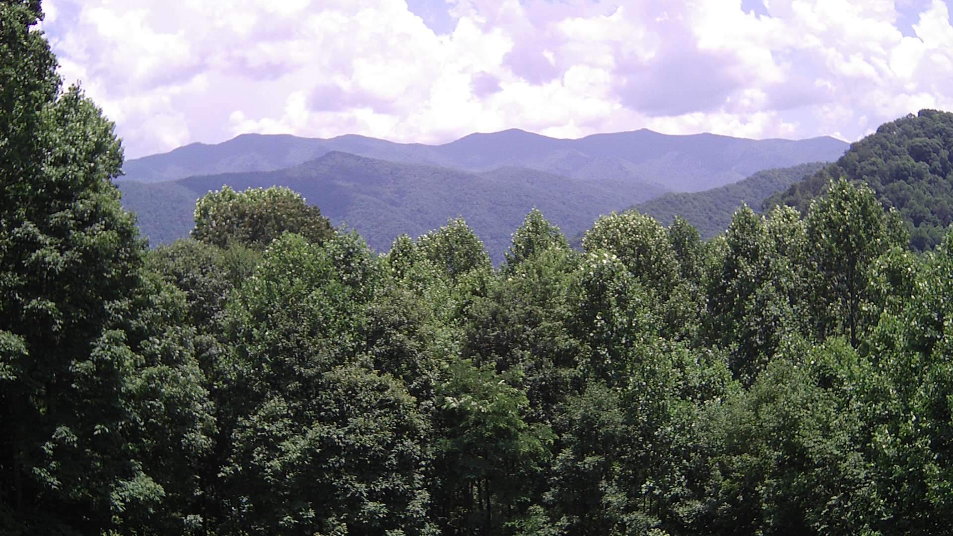 click for next image... slideshow image