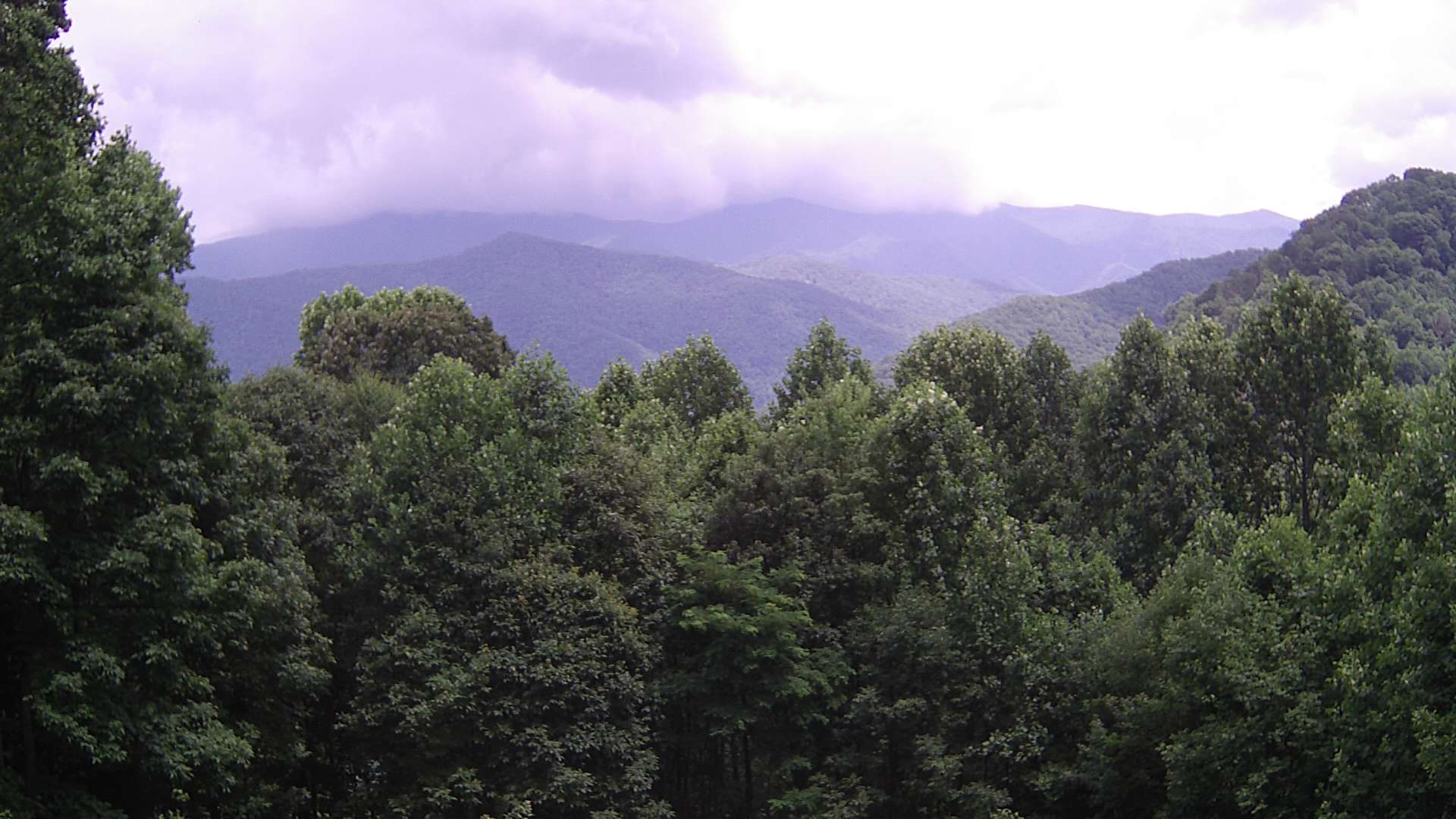 click for next image... slideshow image