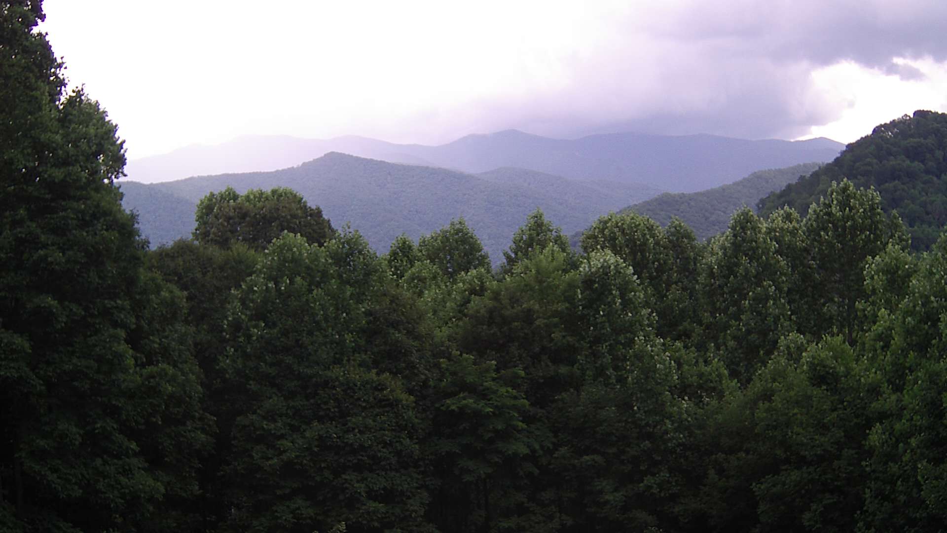 click for next image... slideshow image