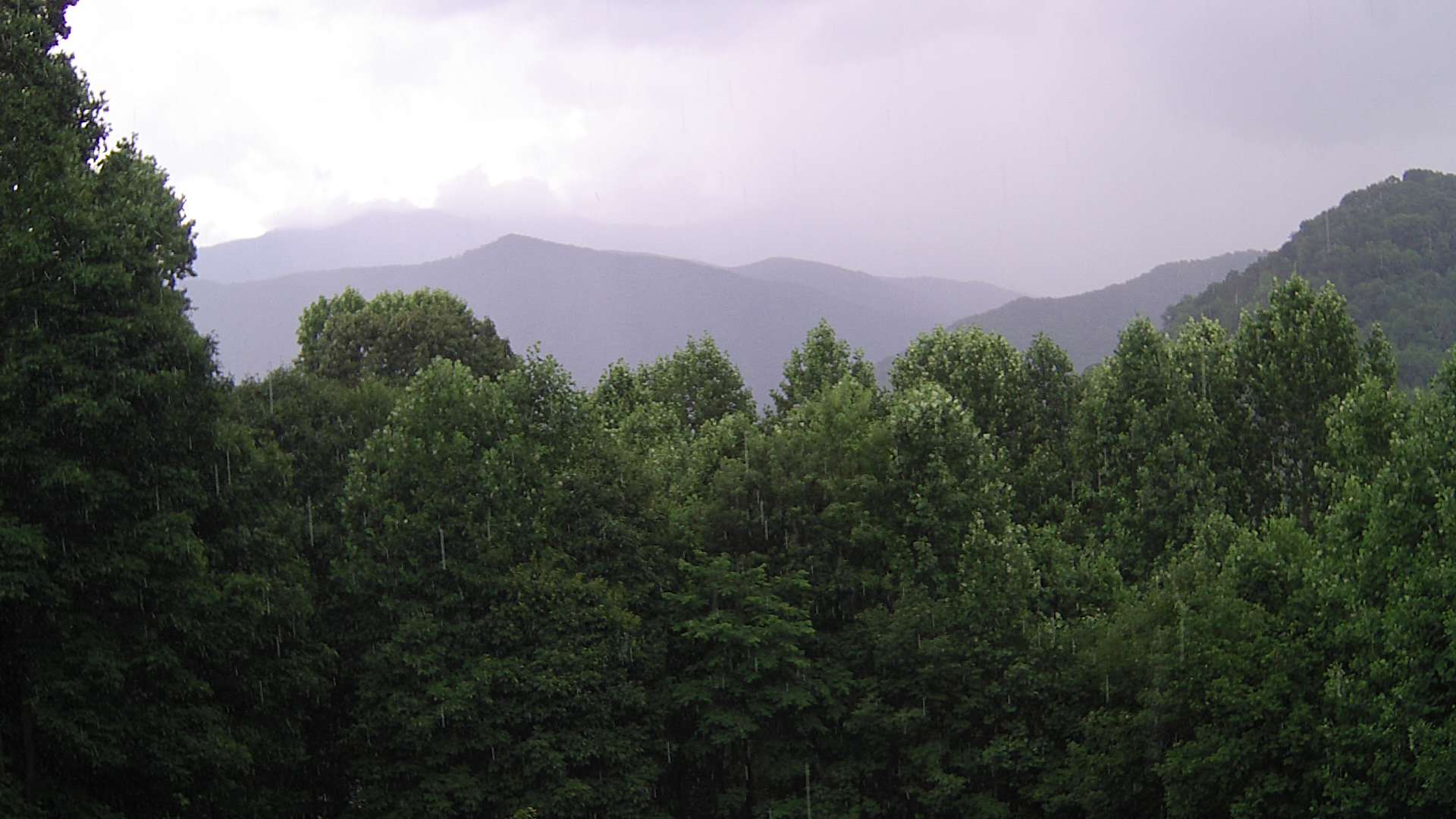 click for next image... slideshow image