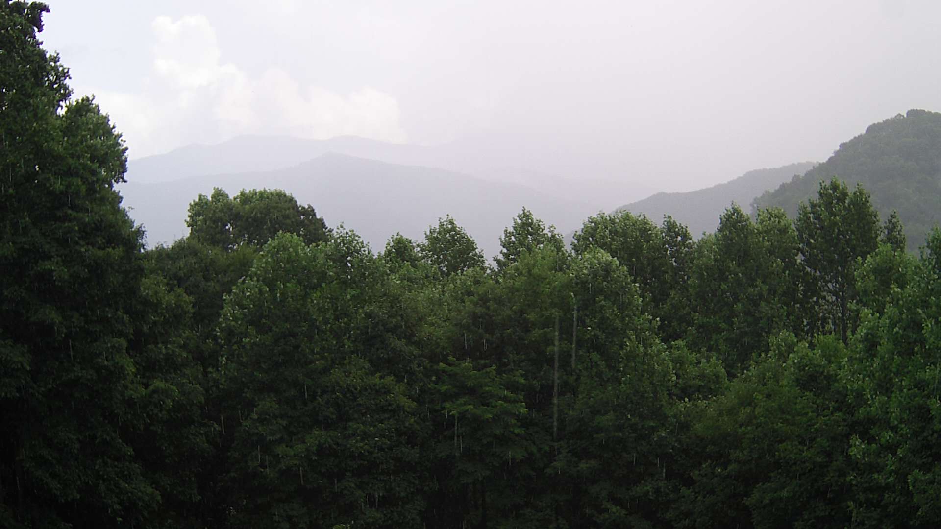 click for next image... slideshow image