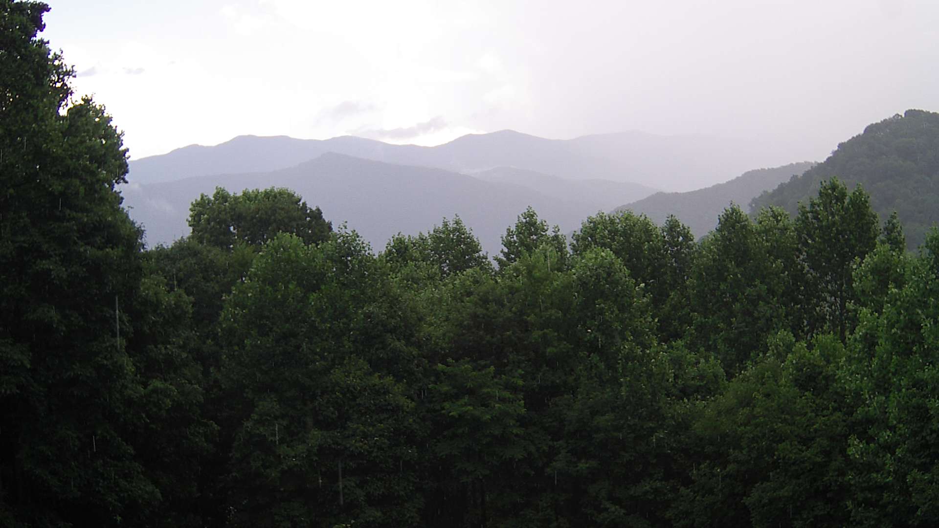 click for next image... slideshow image