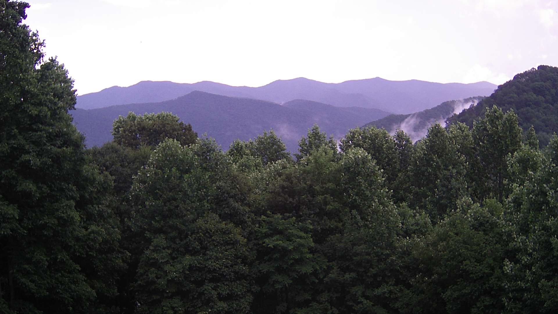 click for next image... slideshow image