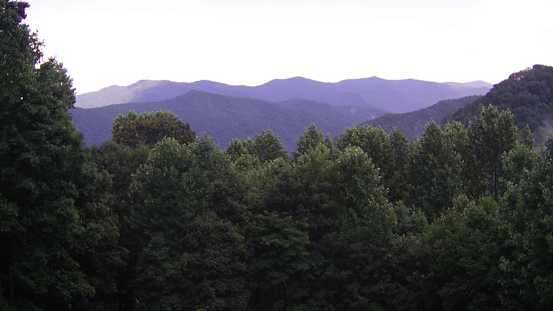 click for next image... slideshow image