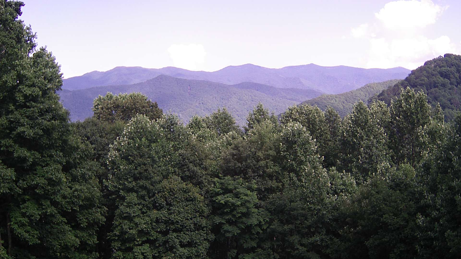 click for next image... slideshow image