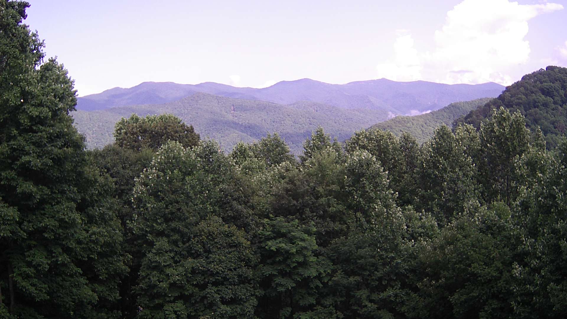 click for next image... slideshow image