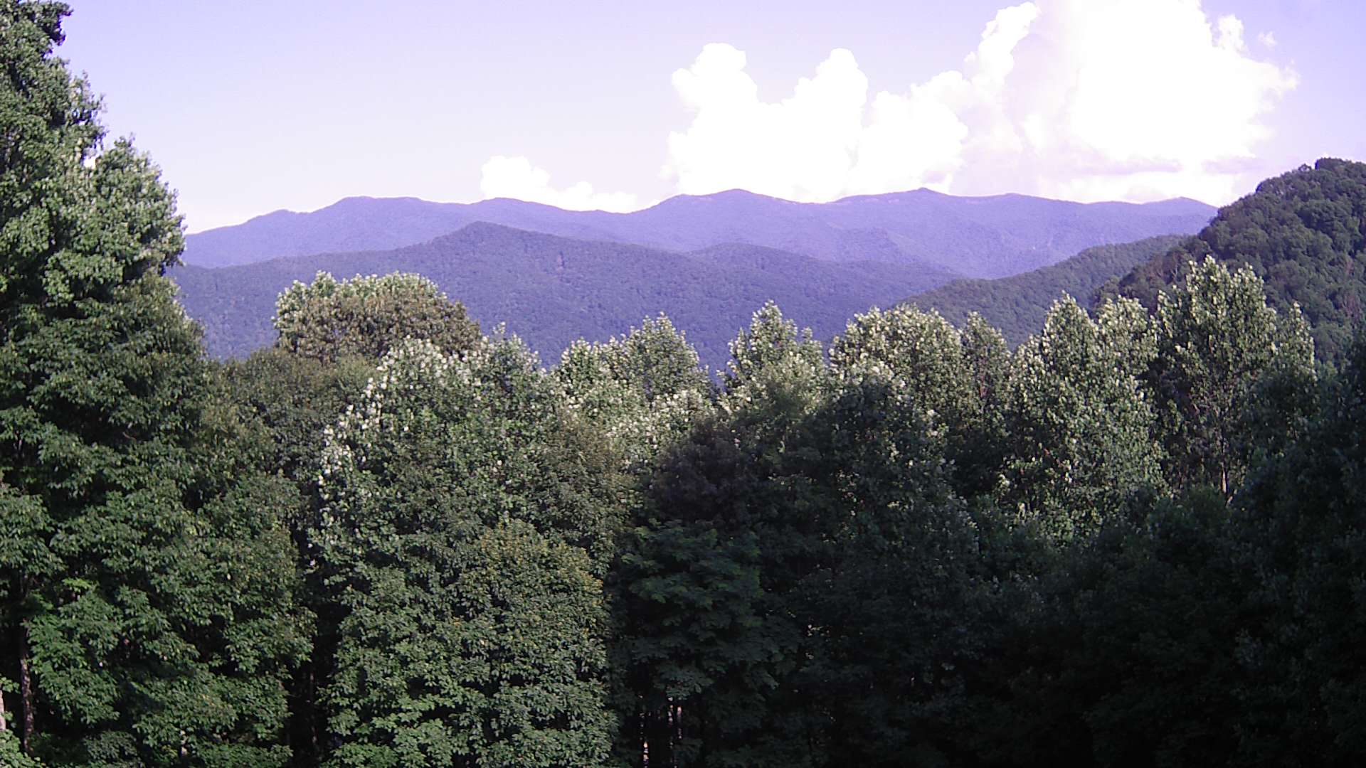 click for next image... slideshow image