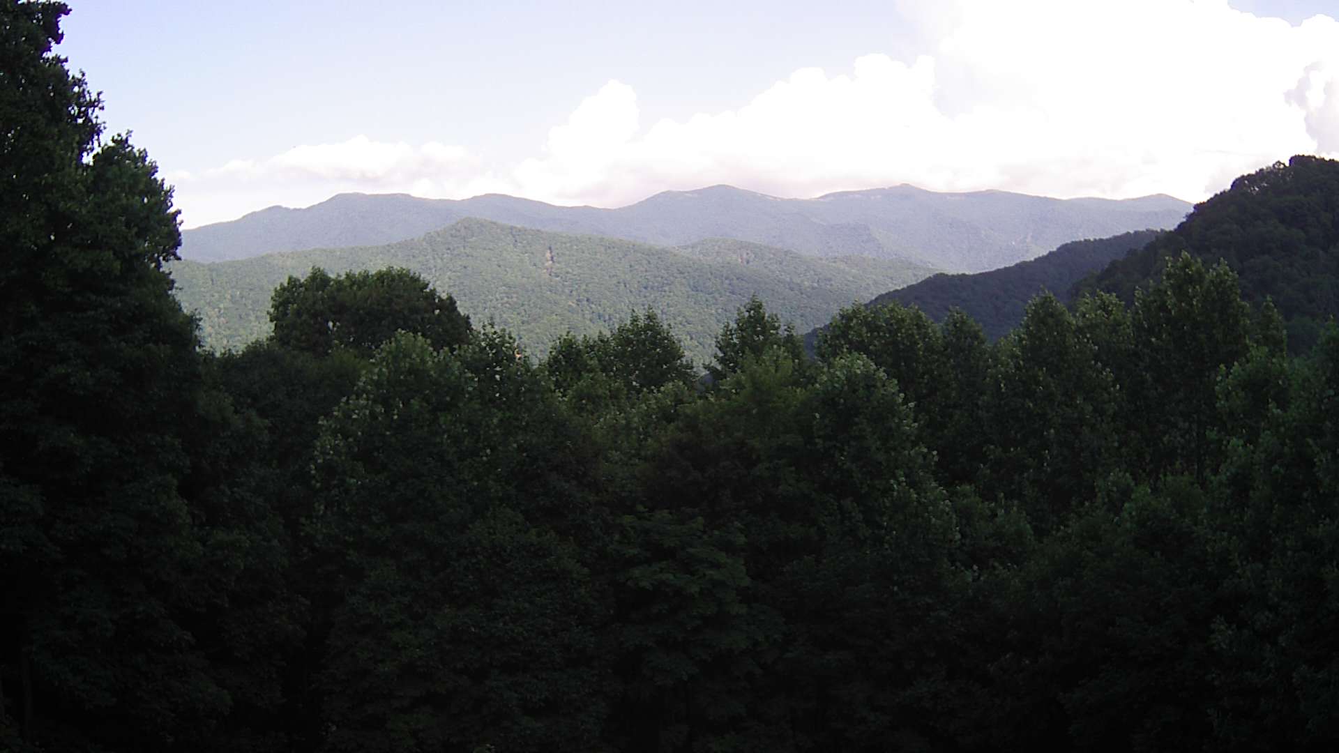 click for next image... slideshow image