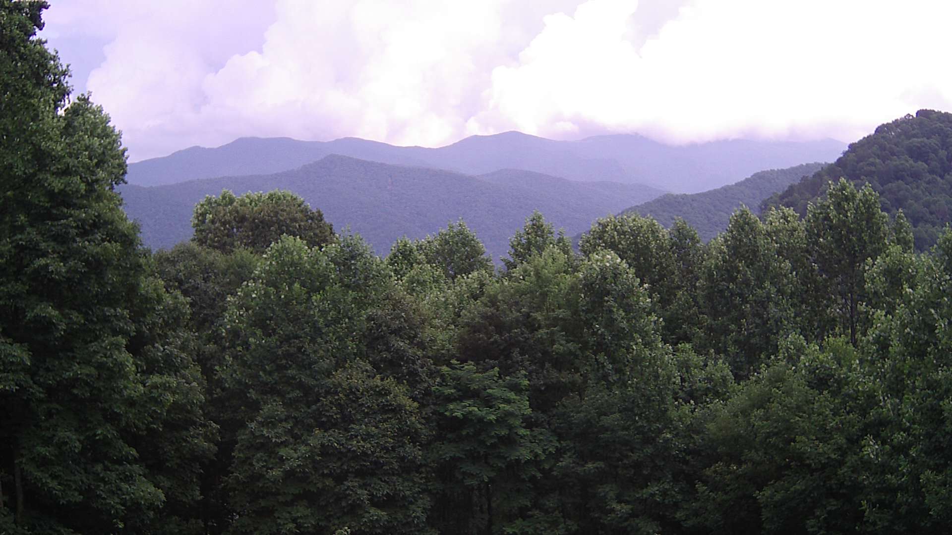 click for next image... slideshow image