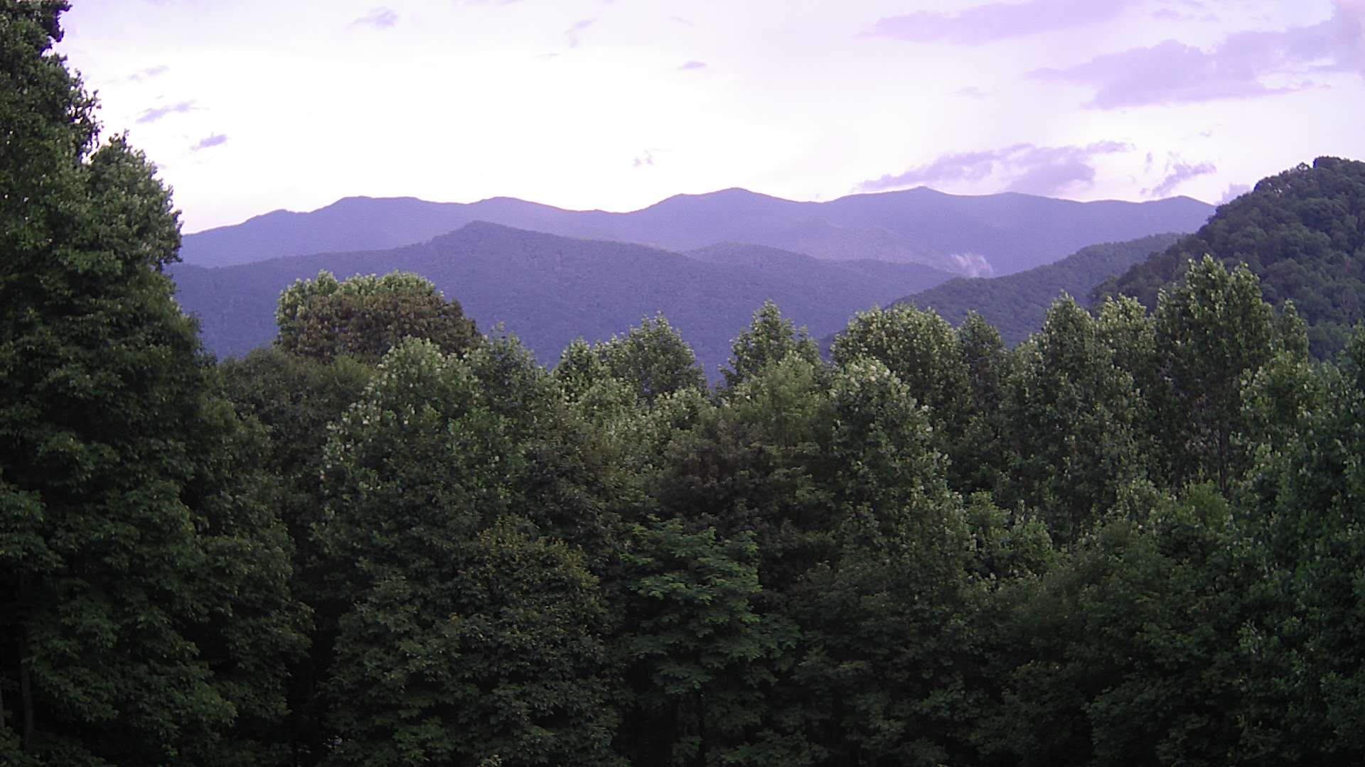 click for next image... slideshow image