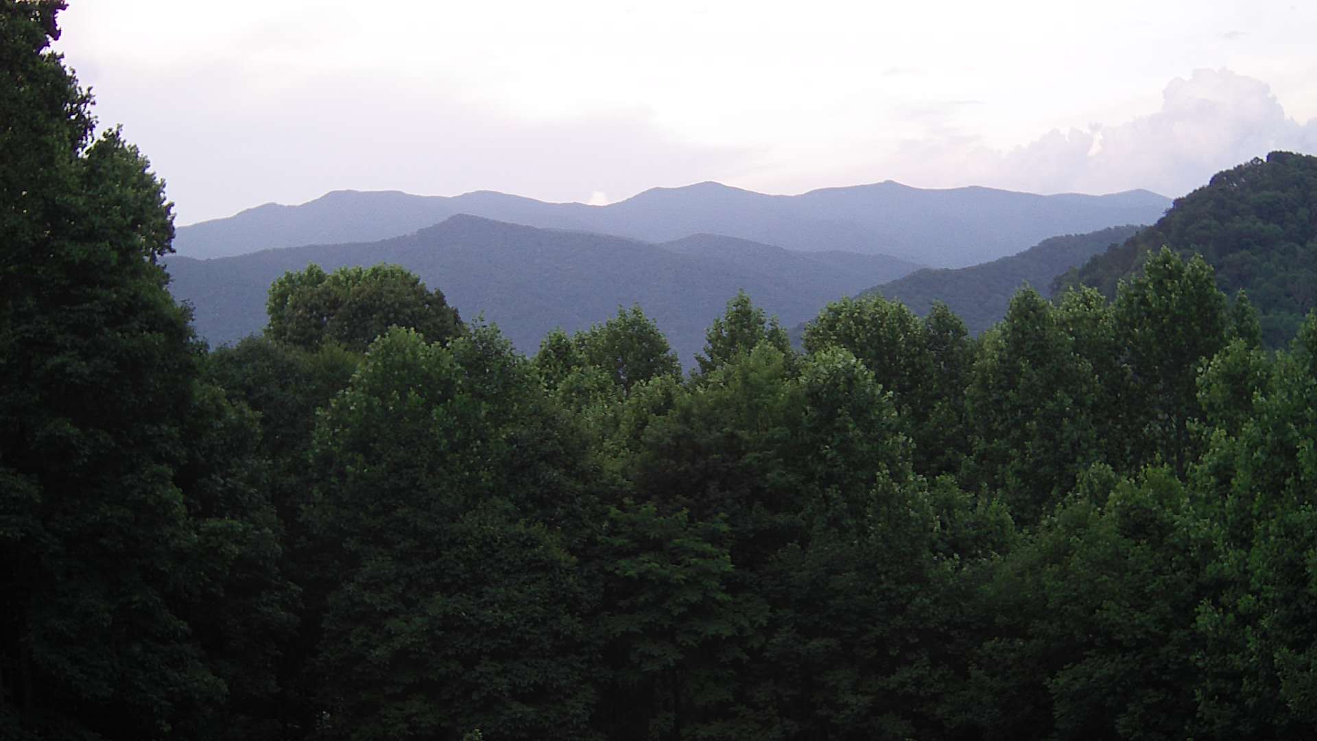 click for next image... slideshow image