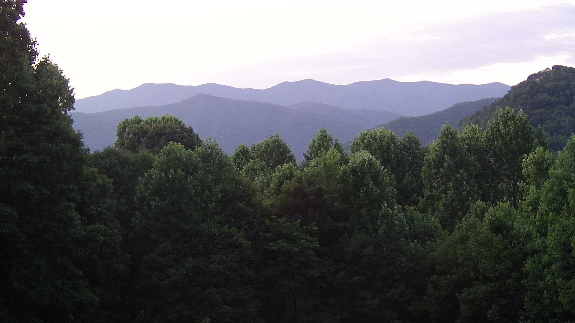 click for next image... slideshow image