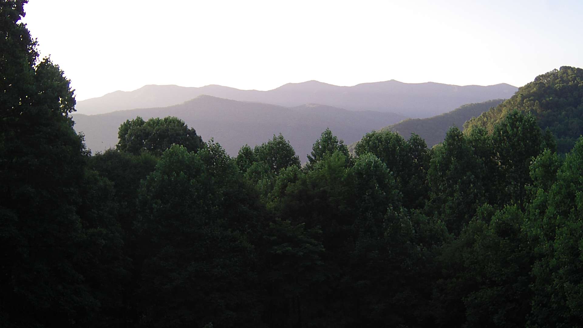 click for next image... slideshow image