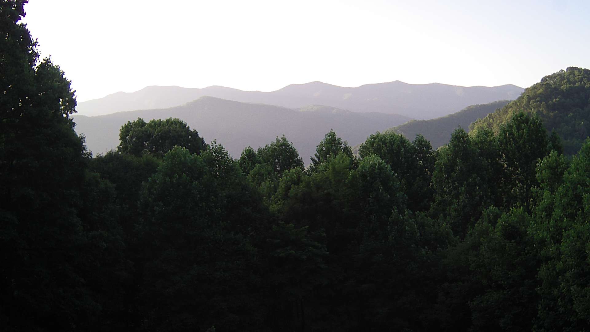 click for next image... slideshow image