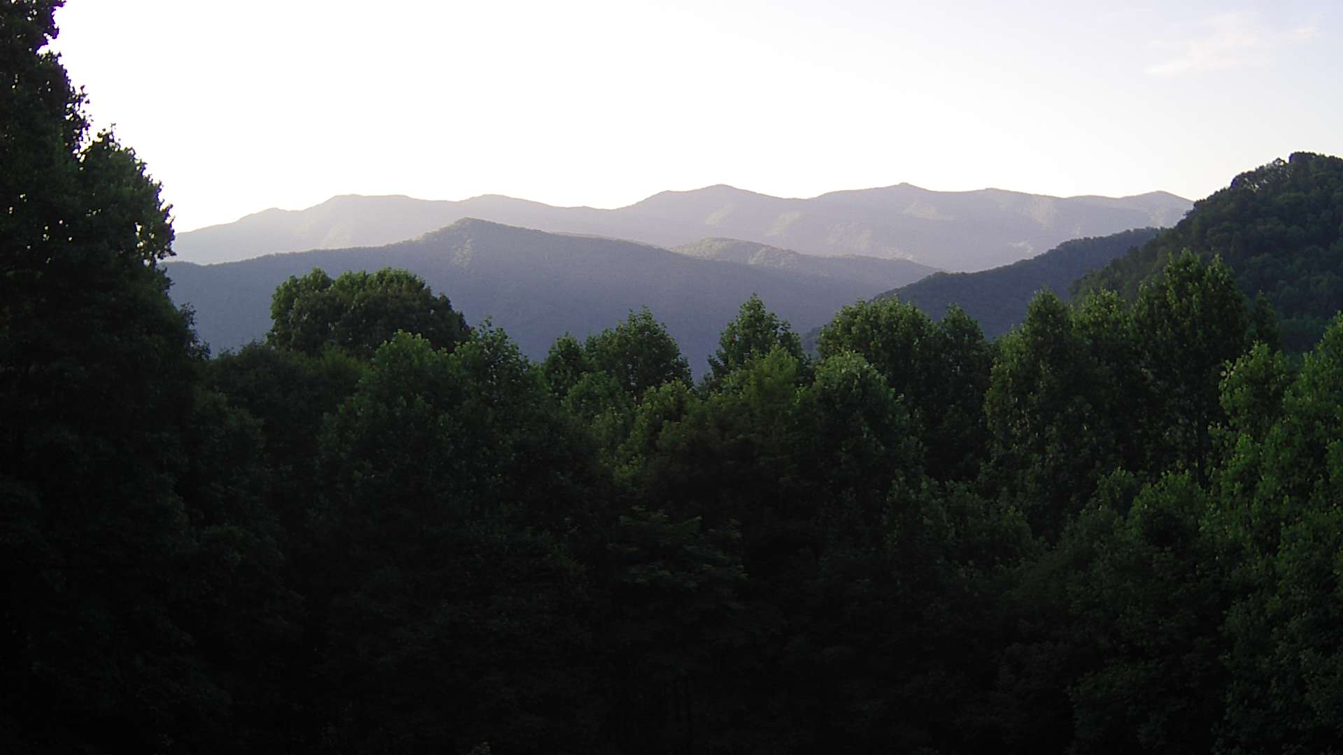 click for next image... slideshow image