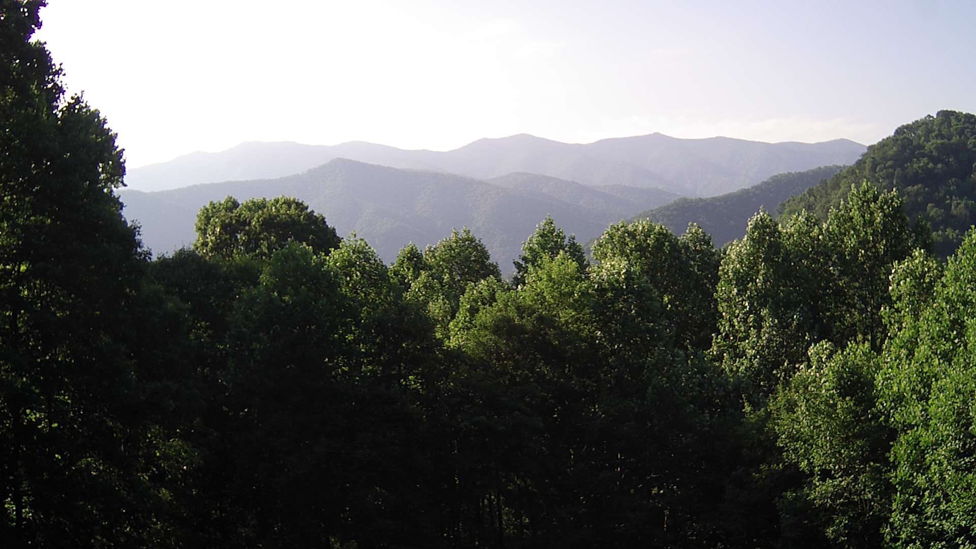 click for next image... slideshow image