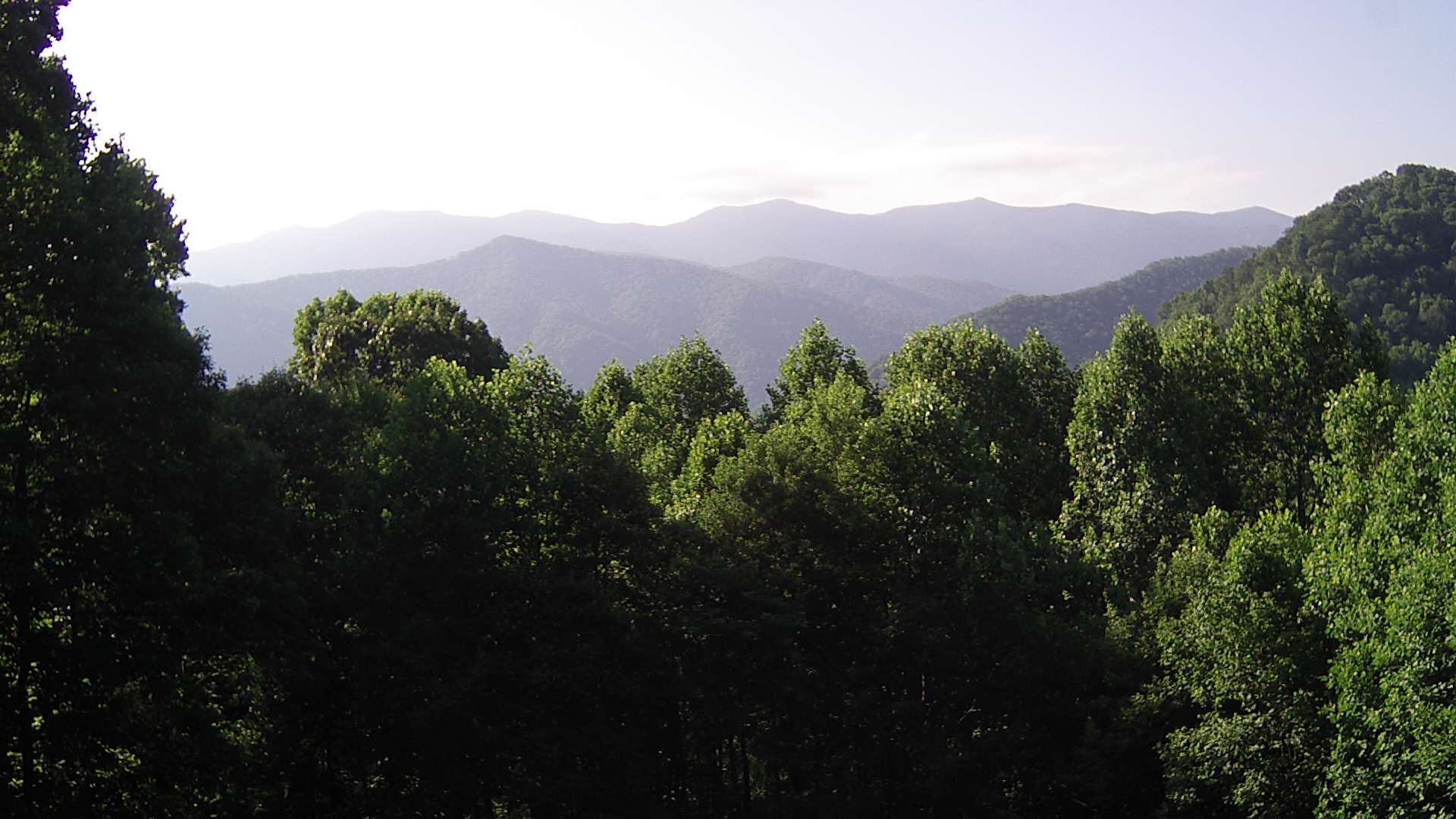 click for next image... slideshow image